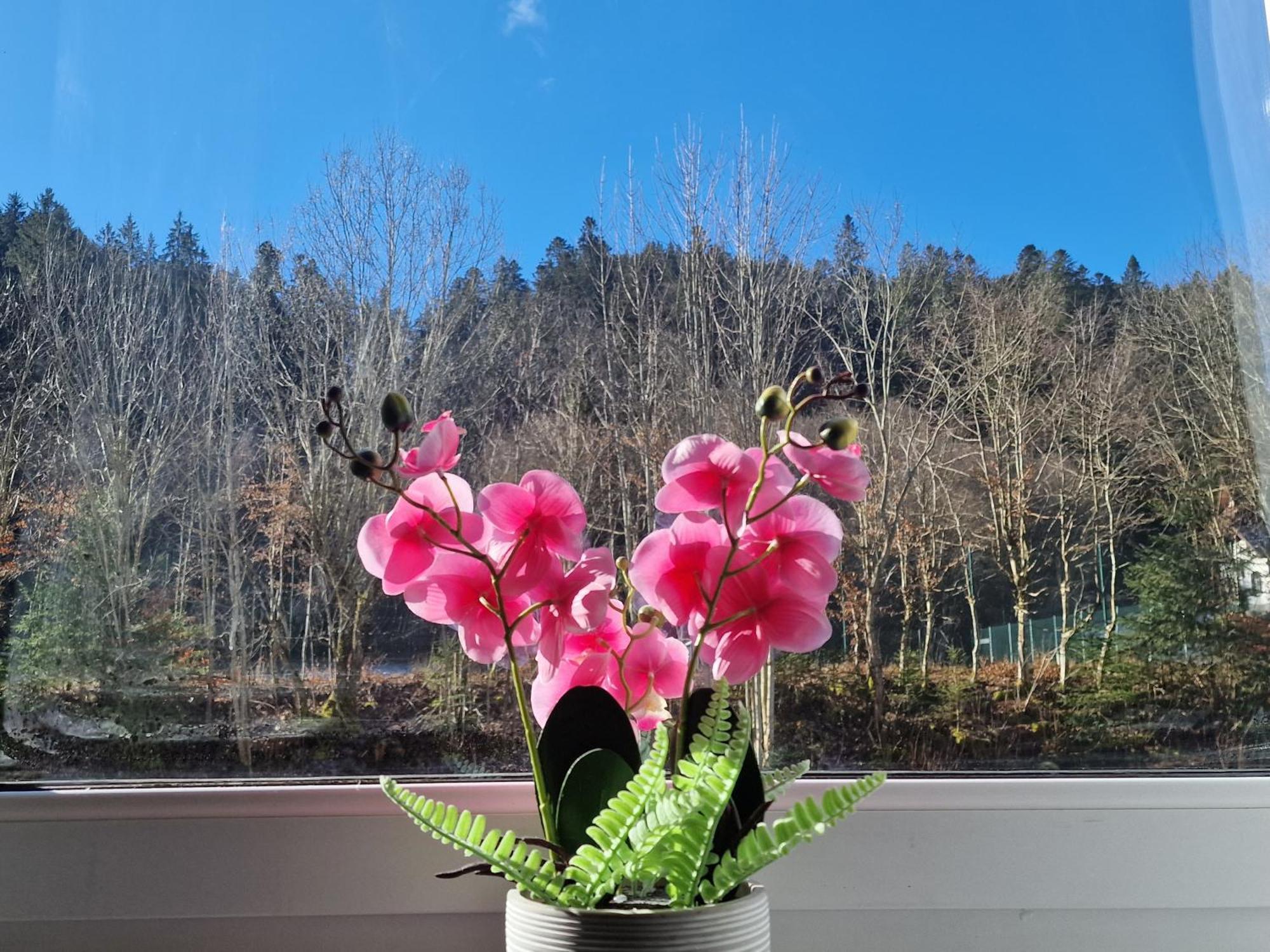Holiday Apartment Near Triberg Waterfall Triberg im Schwarzwald Kültér fotó